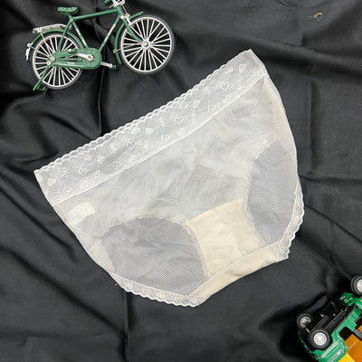 Sheer Mesh Mid-Rise Panty – Caramel Heart Lace