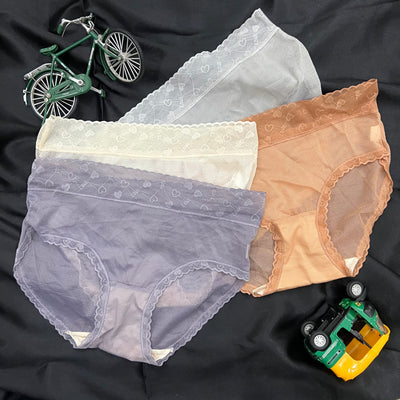 Sheer Mesh Mid-Rise Panty – Caramel Heart Lace