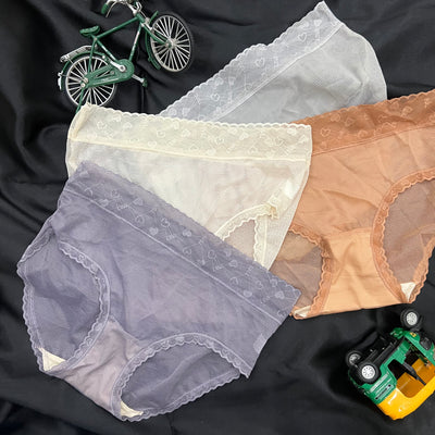 Sheer Mesh Mid-Rise Panty – Caramel Heart Lace